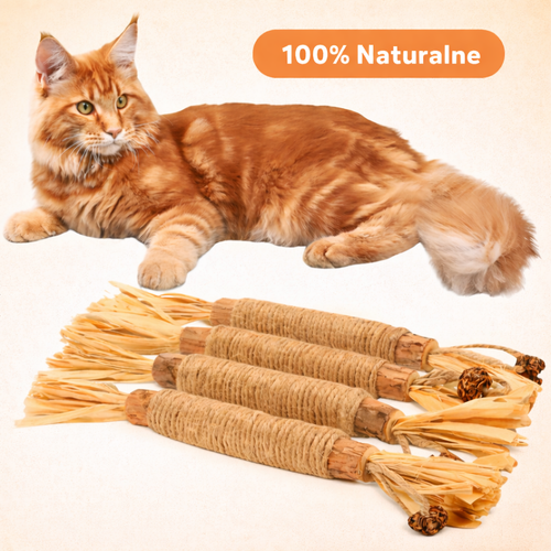 JaskiniaKota™️Kocie Gryzaki